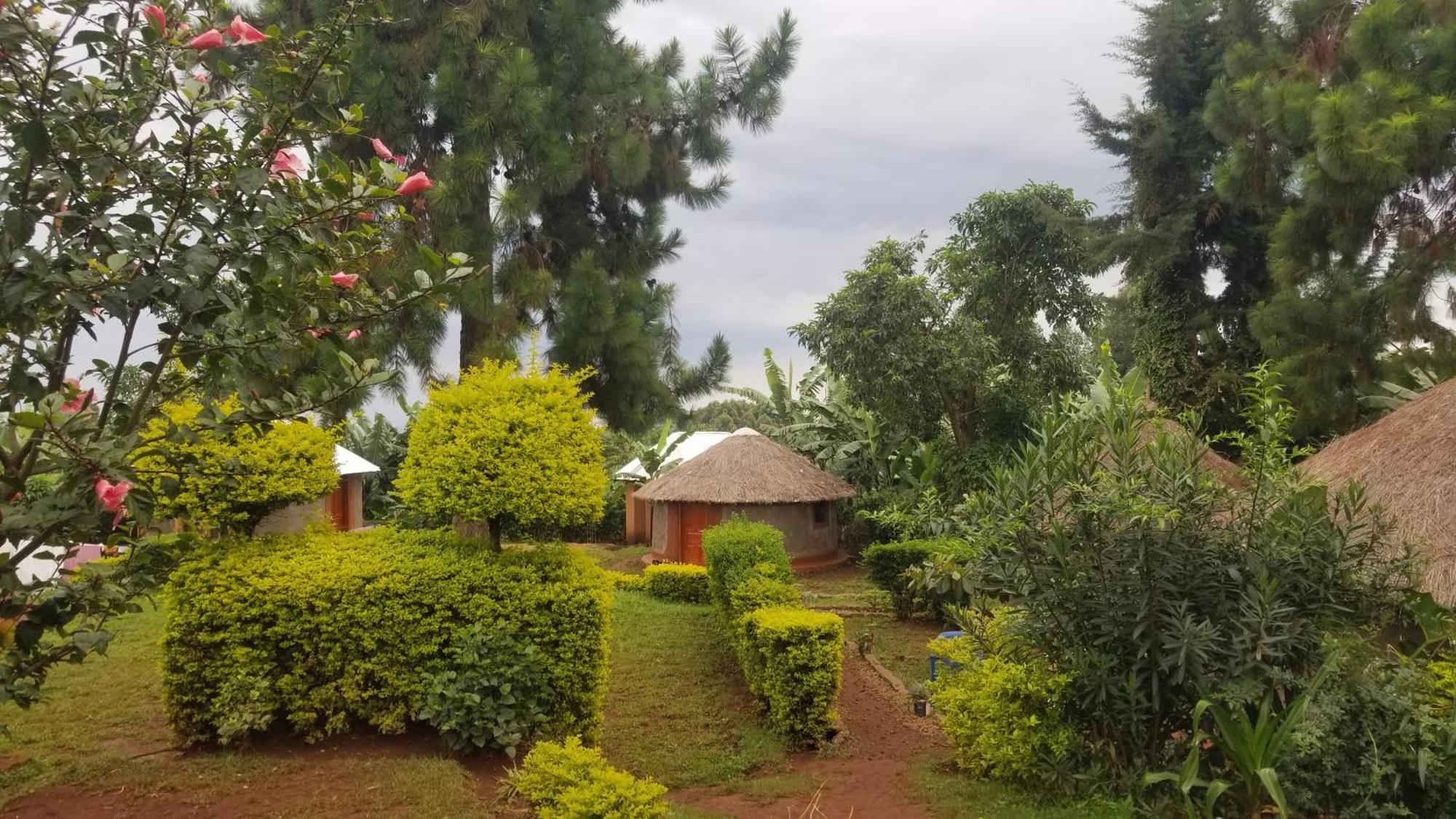فندق Rock Garden Sipi Kapchorwa المظهر الخارجي الصورة