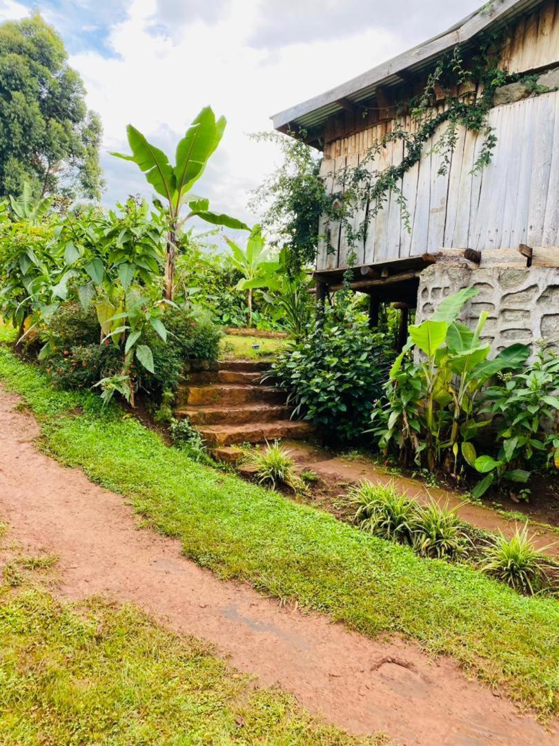 فندق Rock Garden Sipi Kapchorwa المظهر الخارجي الصورة