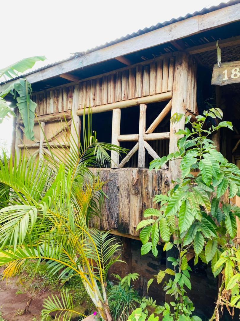 فندق Rock Garden Sipi Kapchorwa المظهر الخارجي الصورة